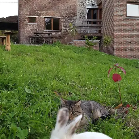 Spacious House In With Garden Montignies-sur-Roc