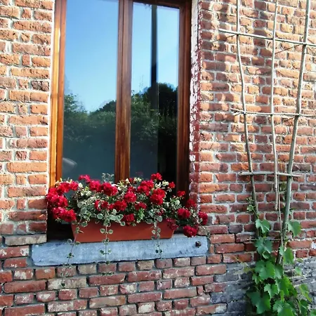 Spacious House In With Garden *