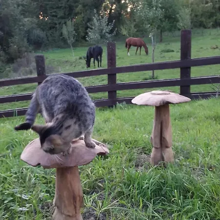 Casa vacanze Spacious House In With Garden Montignies-sur-Roc