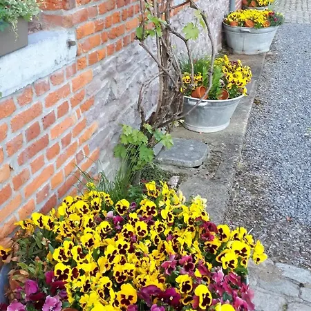 Spacious House In With Garden * Montignies-sur-Roc