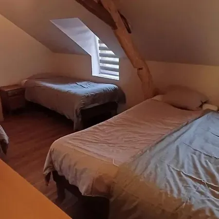 Spacious House In With Garden