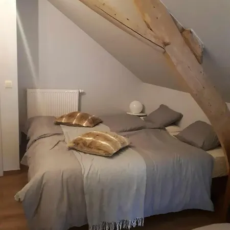 Spacious House In With Garden Montignies-sur-Roc