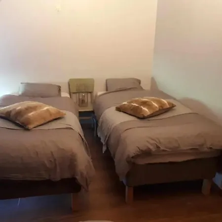 Spacious House In With Garden