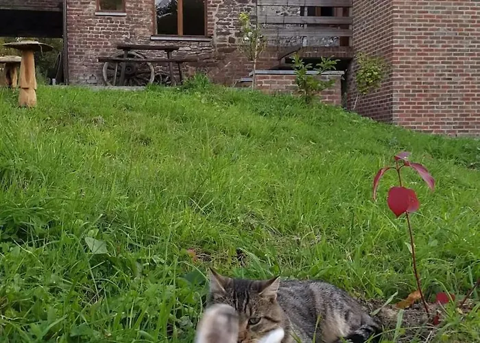 Spacious House In With Garden Montignies-sur-Roc