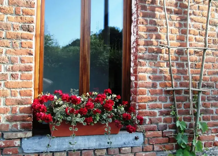 Spacious House In With Garden *