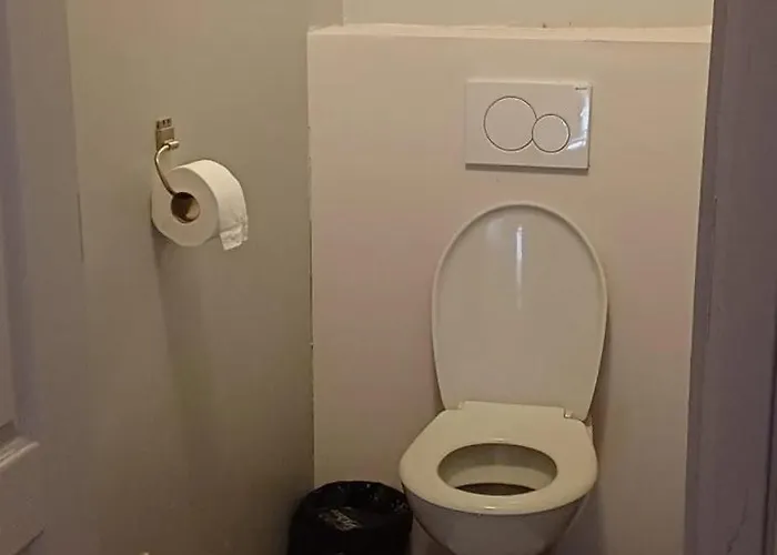 Spacious House In With Garden