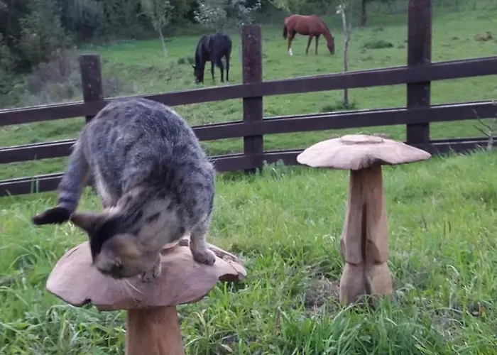 Holiday home Spacious House In With Garden Montignies-sur-Roc