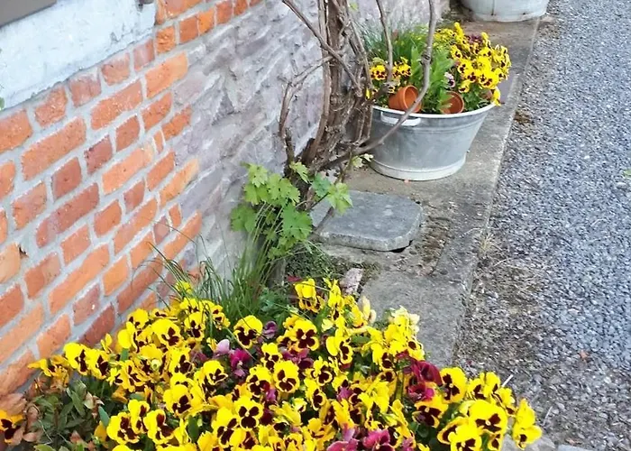 Spacious House In With Garden * Montignies-sur-Roc