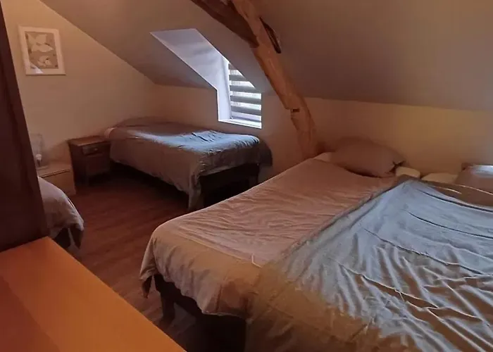 Spacious House In With Garden