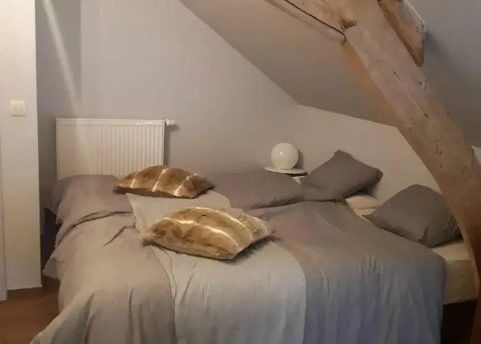 Spacious House In With Garden Montignies-sur-Roc