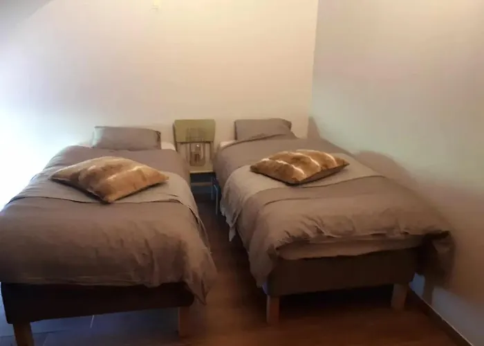 Spacious House In With Garden