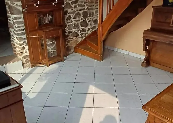 Spacious House In With Garden